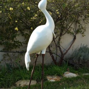 Grande Aigrette